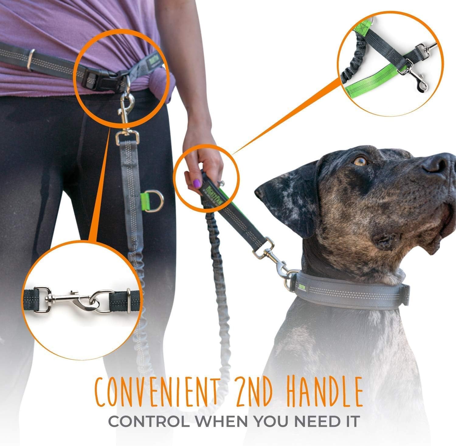 Hands Free Dog Leash | Bungee Waist Leash for Dog Walking. Pet Running Hands Free Tether for Large, Medium & Small Breeds. Pet Waist Belt (36" - 48") up to 150 Lbs - Gray