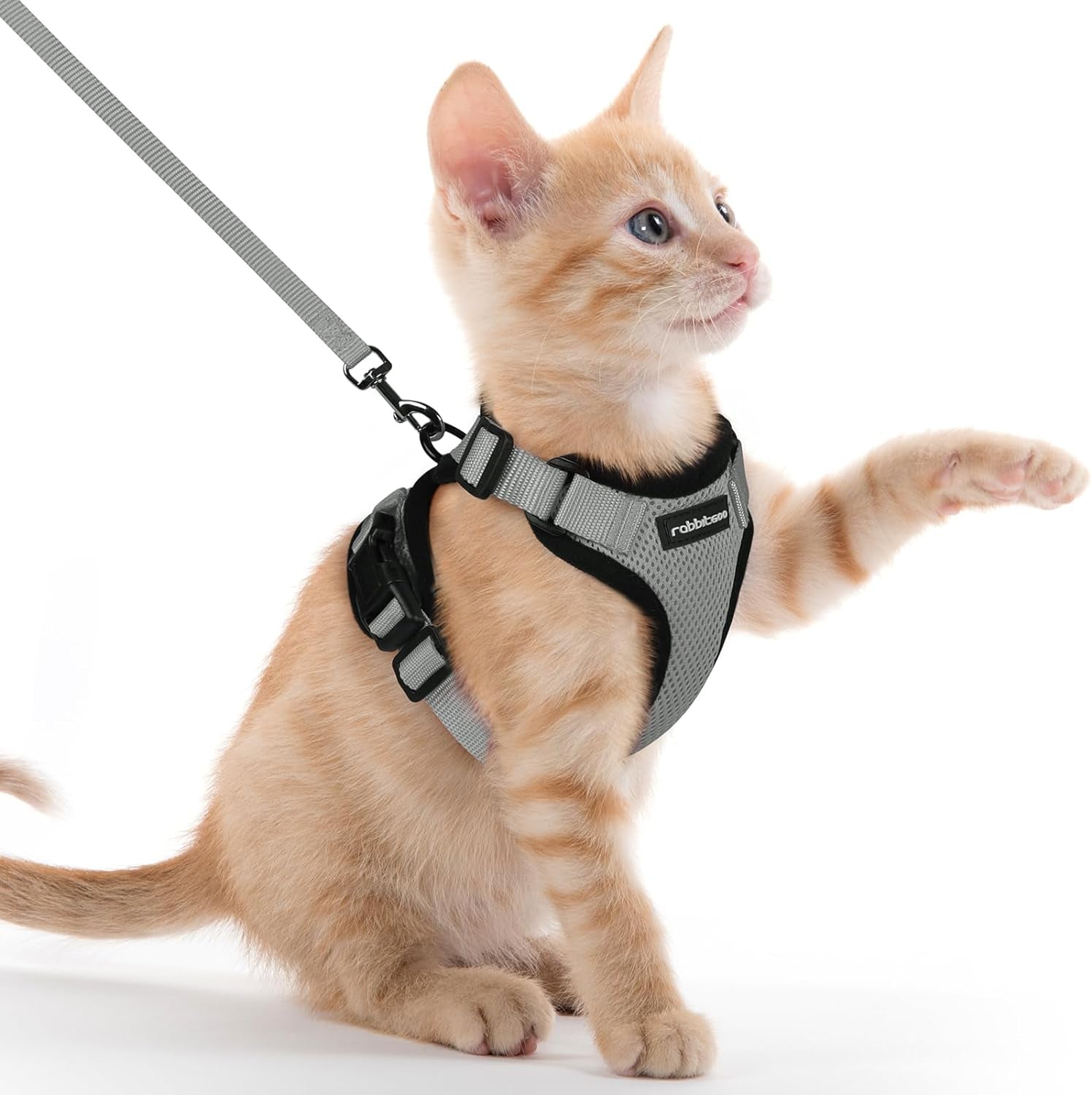 Cat Harness and Leash for Walking, Escape Proof Soft Adjustable Vest Harnesses for Small Medium Cats, Easy Control Breathable Reflective Strips Jacket, XS, Black